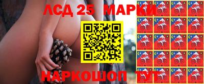 прущие грибы Новодвинск