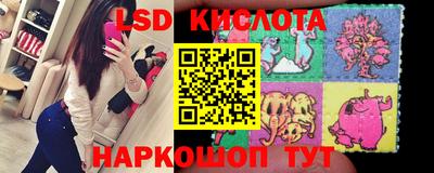 прущие грибы Новодвинск