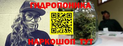 наркотики Новозыбков