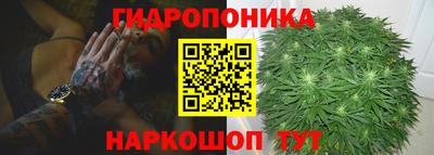 наркотики Новозыбков