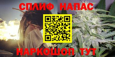 прущие грибы Новодвинск