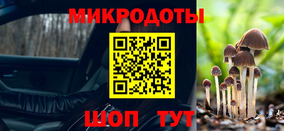 Тверь  Галлюциногенные грибы MAGIC MUSHROOMS  Вход с VPN  Псилоцибиновые грибы Cubensis 