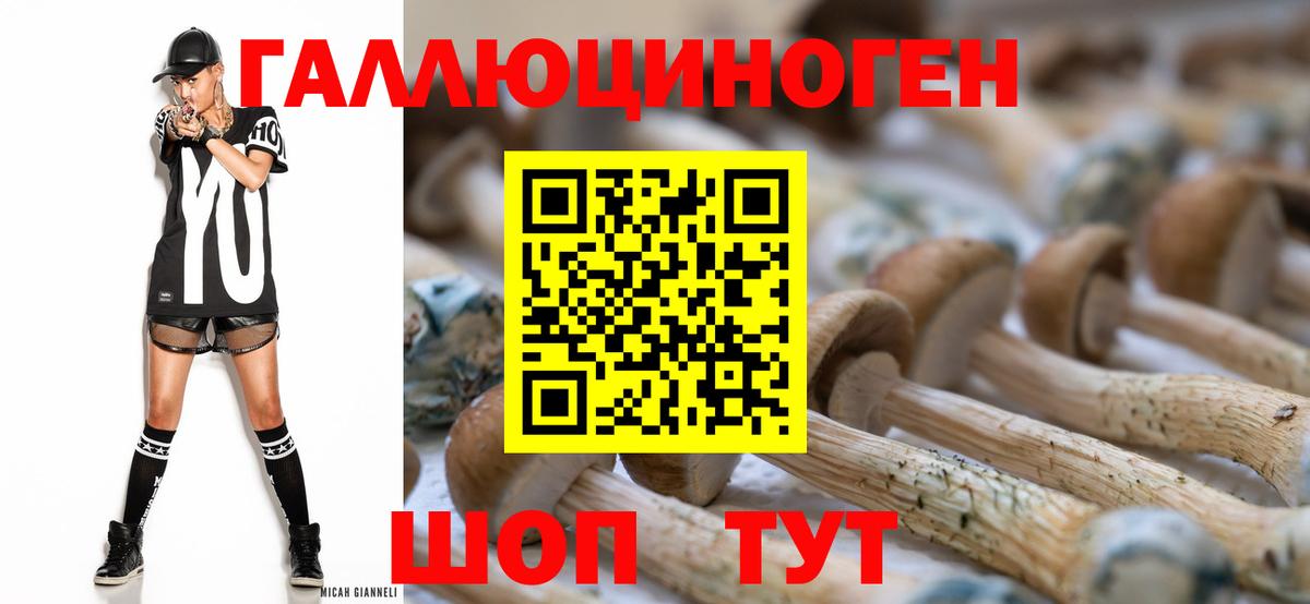 Псилоцибиновые грибы Psilocybine cubensis Тверь